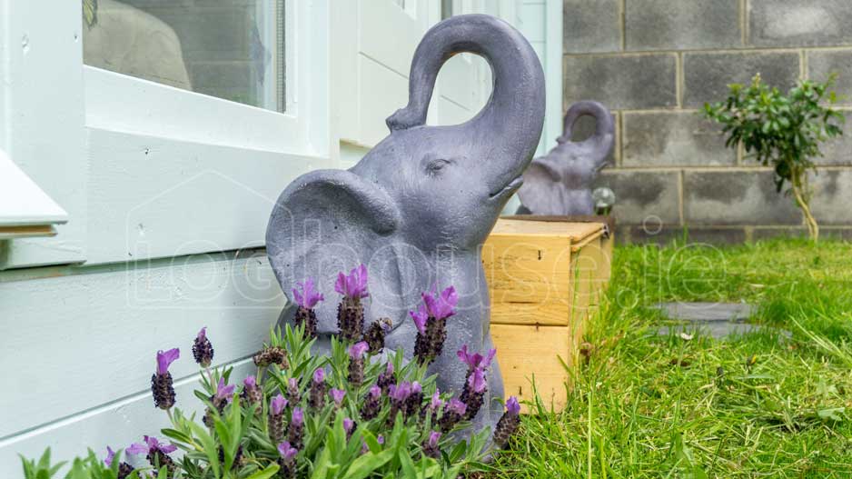 Ashford-Log-Cabin-22 Ashford-Log-Cabin-22