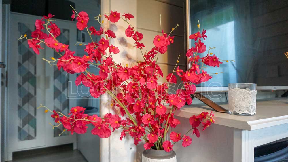 One-Bed-Type-C-Log-Cabins-17-of-24 One-Bed-Type-C-Log-Cabins-9-of-24