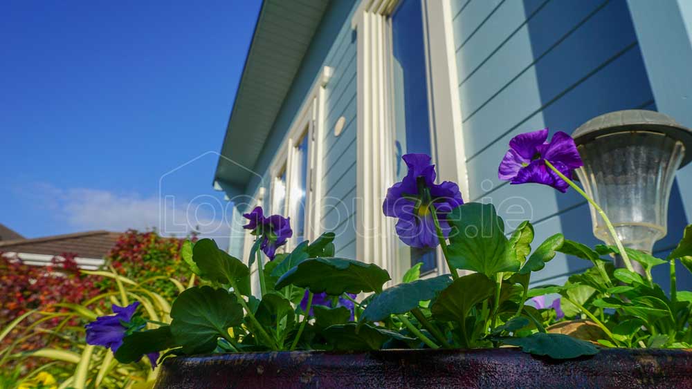 Wicklow-Log-Cabin-11 Wicklow-Log-Cabin-11