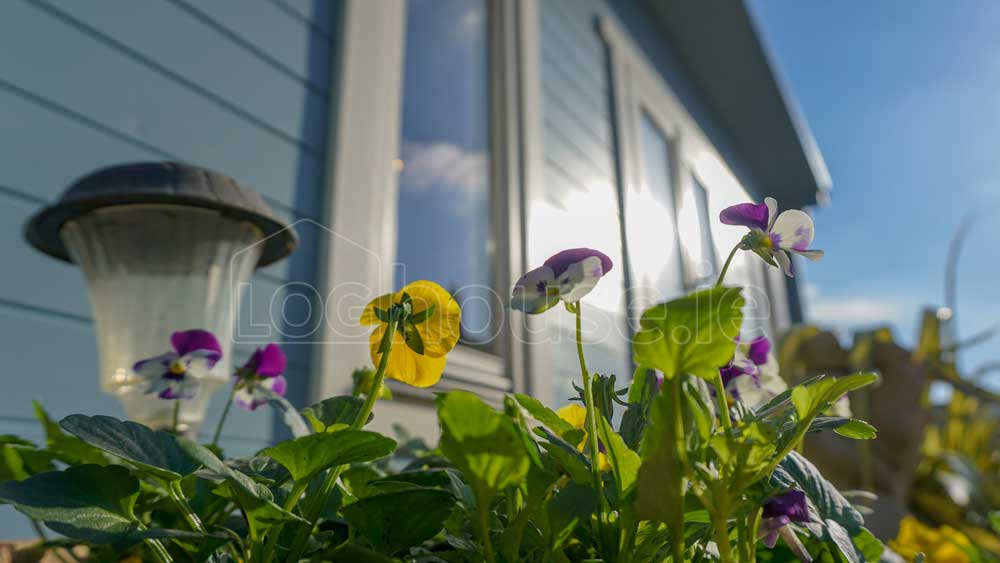 Wicklow-Log-Cabin-16 Wicklow-Log-Cabin-16